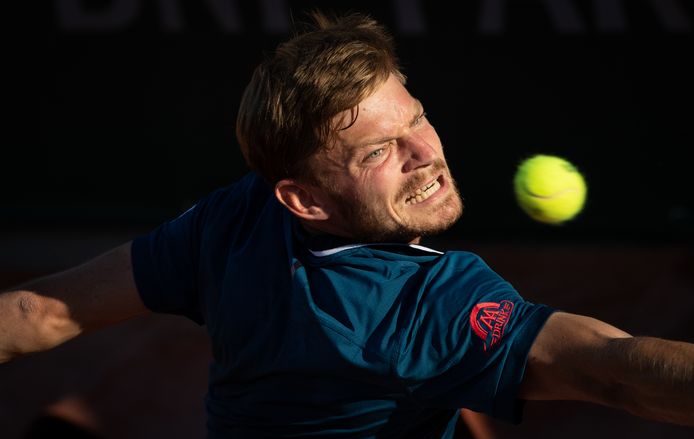 David Goffin