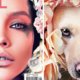6 x asielhonden zijn voor éven modellen op tijdschriftcovers