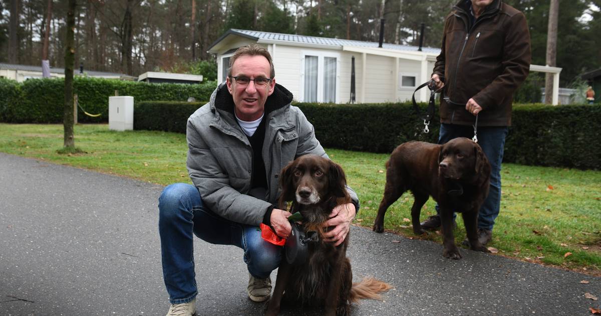 Fluisteren compromis ketting Honden blij in vuurwerkvrij vakantiepark in Doorn | Utrecht |  gelderlander.nl