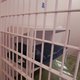 Ter dood veroordeelde vreest pijnlijke executie