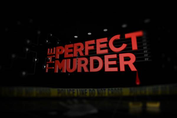 The Perfect Murder