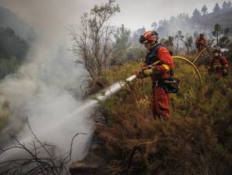 Bosbrand aan Costa Blanca breidt verder uit: 2.000 mensen geëvacueerd