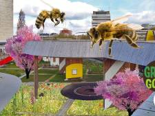 Zaaifestijn bij Park Pompenburg om meer bijen te trekken