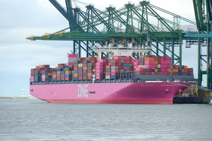 vertel het me woede steen Roze schip voor anker in Antwerpse haven | Antwerpen | pzc.nl