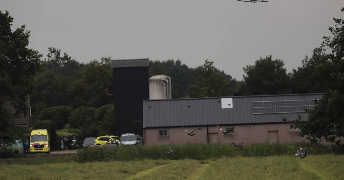 Gewonde bij ongeval op boerderij, traumaheli landt in weiland naast snelweg A30.