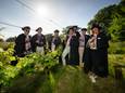 Culinair Vinologisch Broederschap ‘t Pötje  in de wijngaard op de Markeloseberg. Zondag komen wijnboeren uit heel Europa bijeen in openluchttheater De Kösterskoele voor alweer de negende internationale wijnmarkt.