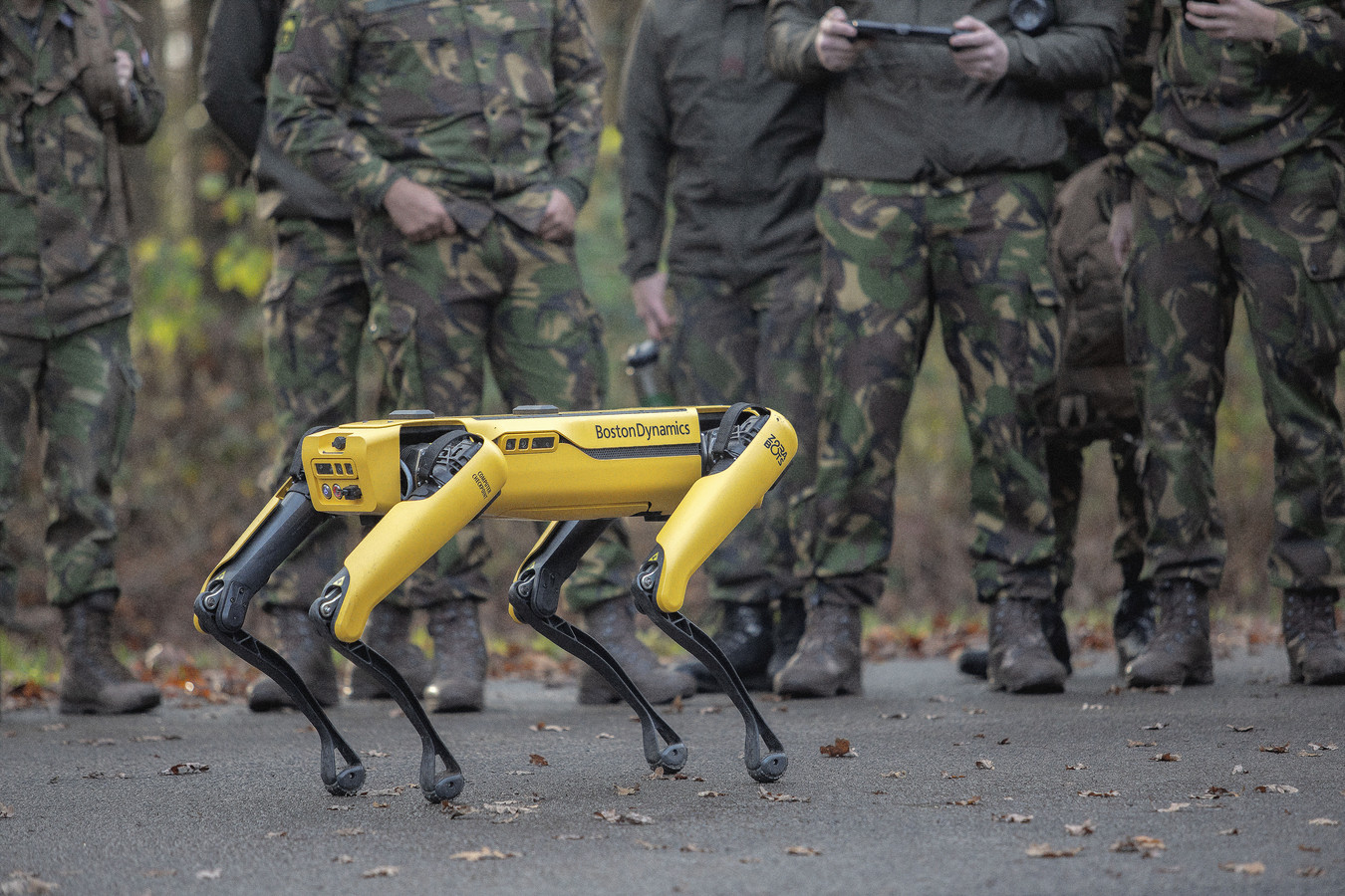 Robothond Spot kan levens redden en zoekt nieuwe baas op kazerne Foto