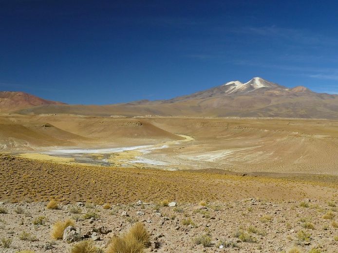 De Boliviaanse hoogvlakte of Altiplano.