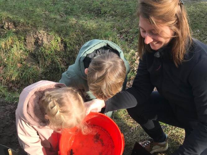 Vrijwilligers hebben in Weelde ruim achthonderd amfibieën overgezet