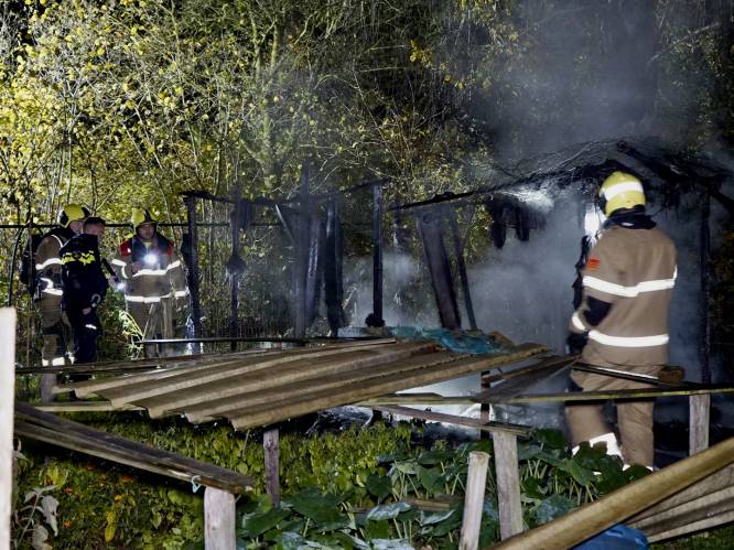 Opnieuw brand in Schildersbuurt Boxmeer: nu is tuinhuisje van volkstuin doelwit