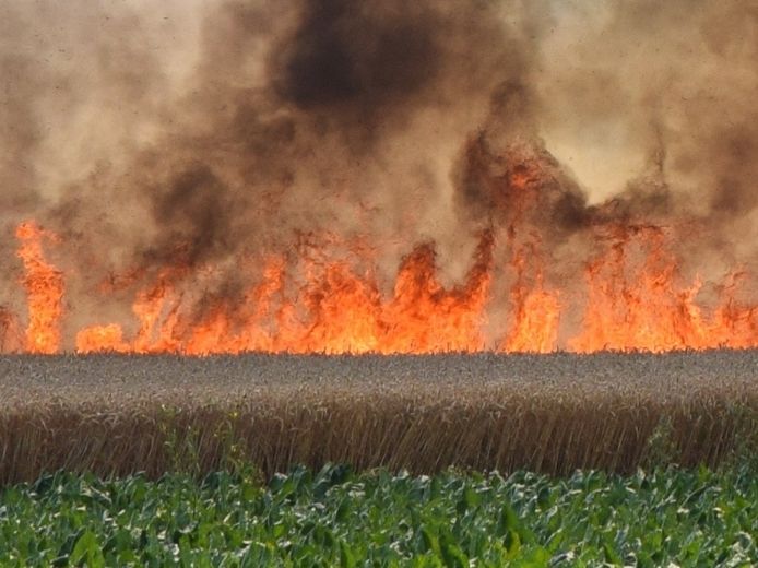 70 000 M2 Tarweveld Verwoest In Nieuwerkerk Eigenaar Vooral Angst Dat Vuur Zou Overslaan Schouwen Duiveland Pzc Nl