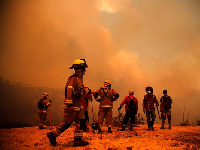 Dodental voortwoedende bosbranden Chili voorbij de 120: huizen branden in minuten af