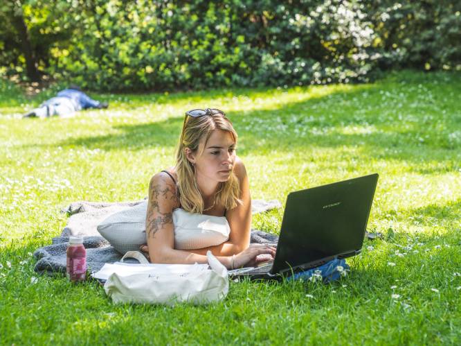 Zonneblokkers: als aan het strand liggen geen optie is, omdat je moet studeren