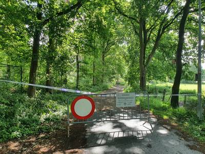 Vandalen slaan opnieuw toe in De Liereman: 35 bomen ‘ingezaagd’, stabiliteit kan niet gewaarborgd worden