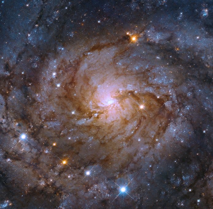Het "verborgen sterrenstelsel" IC 342, gezien door de lens van de Hubble-telescoop.
