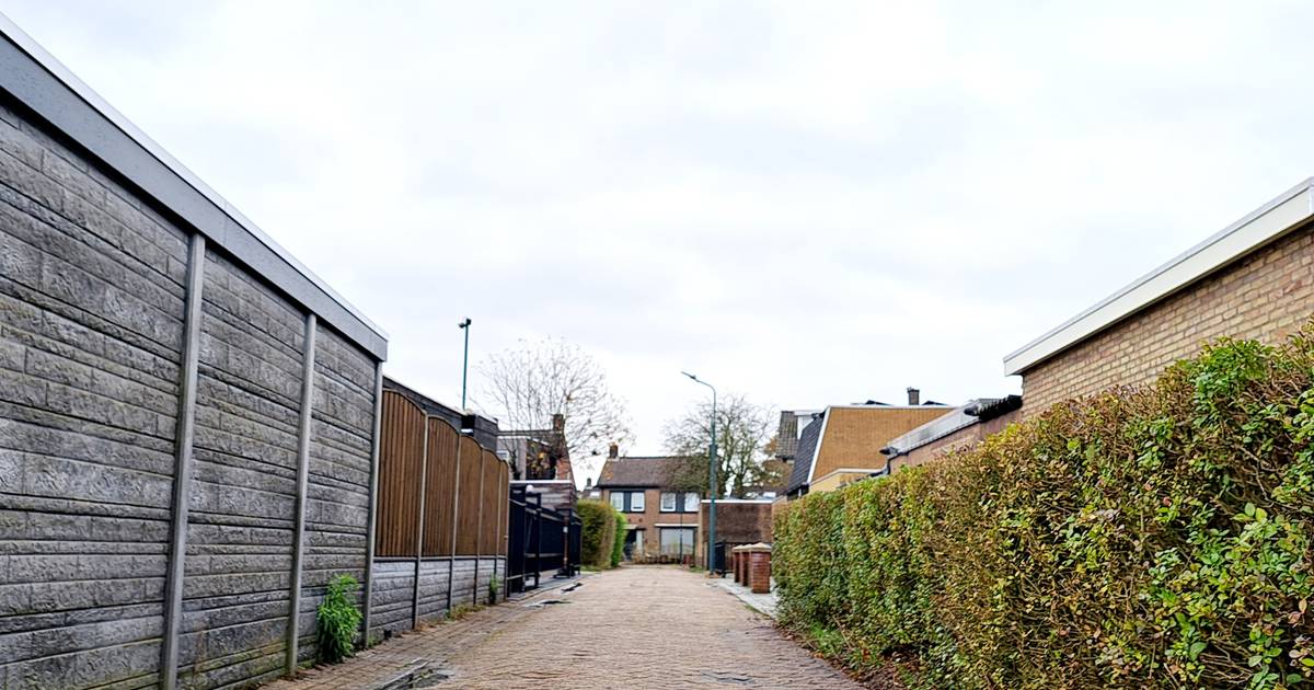 Twee paaltjes vergallen de verhoudingen tussen buren in Prinsenbeek: ‘Met alle respect, maar dit sla