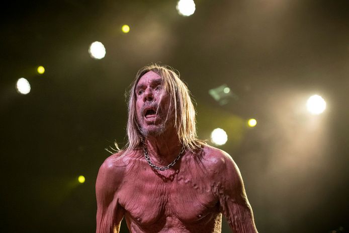 Gigantische wereldsterren zoals Iggy Pop op Jazz Middelheim 2022 hoeven de fans dit jaar niet te verwachten.