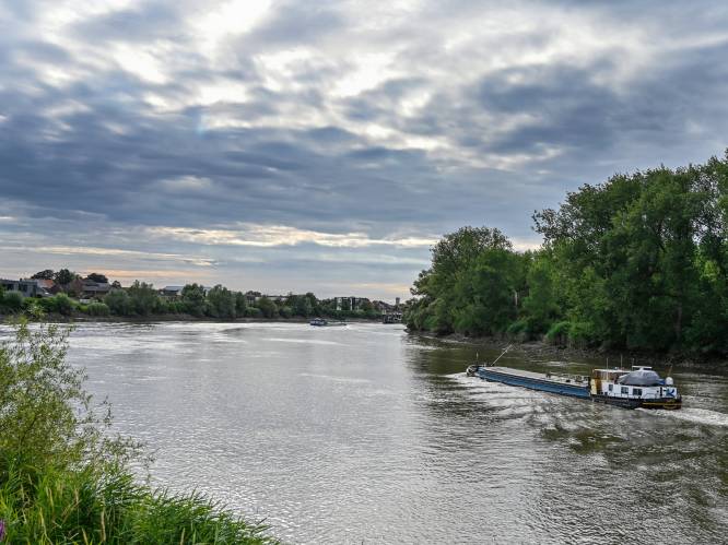Bosgemeente wil toetreden tot Nationaal Park Scheldevallei: “Met uitkijktoren aan Ouden Briel”