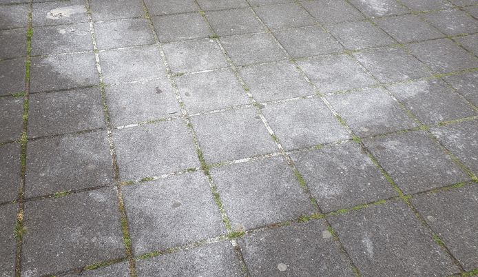 Witte vlek herinnert aan de examenstunt waarbij leerlingen de school besmeurden met meel, maar ook met yoghurt, eieren en stroop.