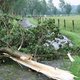 Storm trekt spoor van vernieling door het Waasland