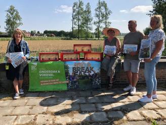 Zwalm bindt de strijd aan met de Aziatische hoornaar