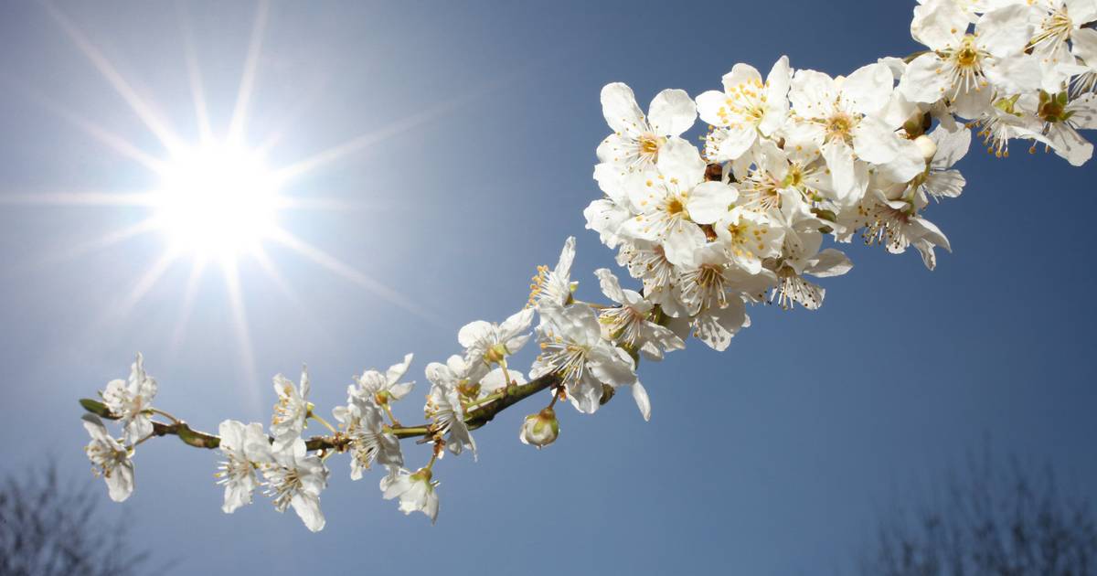 Lente in het land zonnig en zacht begin van de week met temperaturen