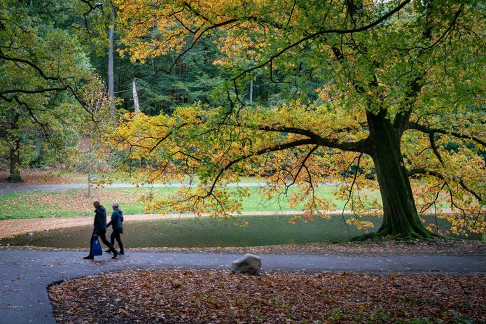 Het groen in en om Arnhem, zoals hier in Park Sonsbeek, wordt door de Arnhemmers bovengemiddeld gewaardeerd.