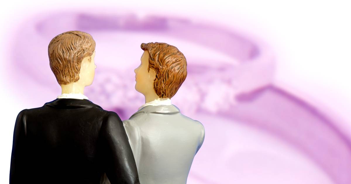 Twintig Jaar Na Eerste Huwelijk Telt Nederland Inmiddels 20 000 Homo Echtparen Regio Ed Nl