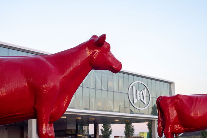 De rode koeien zijn kenmerkend voor het agrarische familiebedrijf Lely Industries dat is gevestigd in Maassluis.