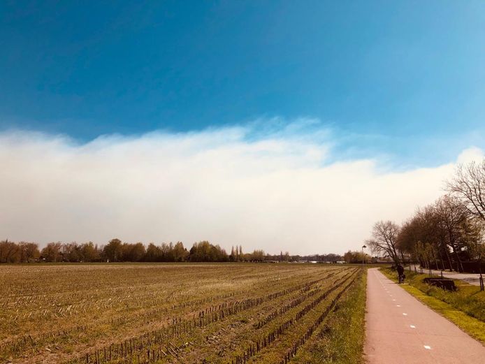 Deze dreigende mist waait momenteel boven Antwerpen (foto genomen vanuit Kapellen).