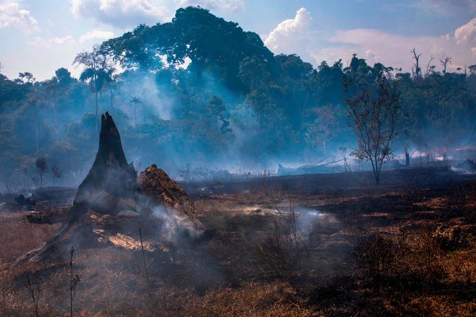 Meer dan 4 miljoen hectare Amazonegebied is al in vlammen opgegaan.