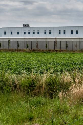 Steeds meer 'Hollandse onderonsjes' in onze cellen: alleen Marokko en Algerije tellen meer landgenoten in Belgische gevangenissen