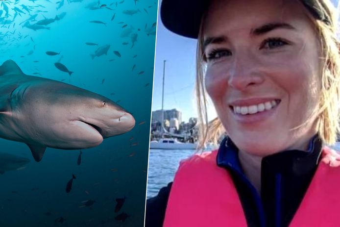 Fotomontage. Een stierhaai / Slachtoffer Lauren O'Neill raakte zwaargewond bij de haaienaanval.