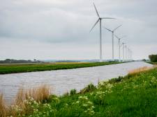 Onderzoek vlieggedrag roofvogel bij windmolen