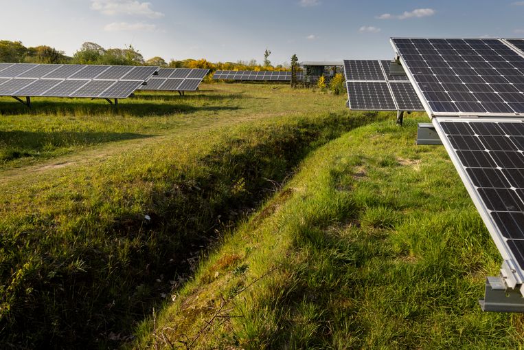 Solarpark De Kwekerij in Hengelo. Coöperaties van burgers zijn steeds vaker (mede-)eigenaar van lokale zonneparken.  Beeld Herman Engbers