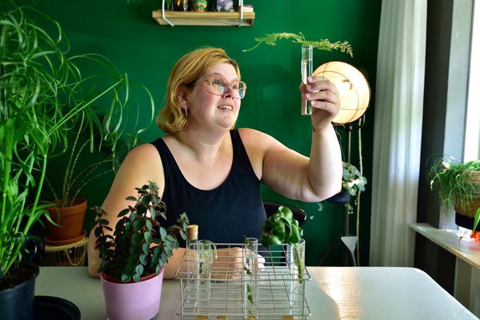 Foto Pim Mul 16062021 Moordrecht. Joyce Van der Weijde verzamelt kamerplanten en stekjes.