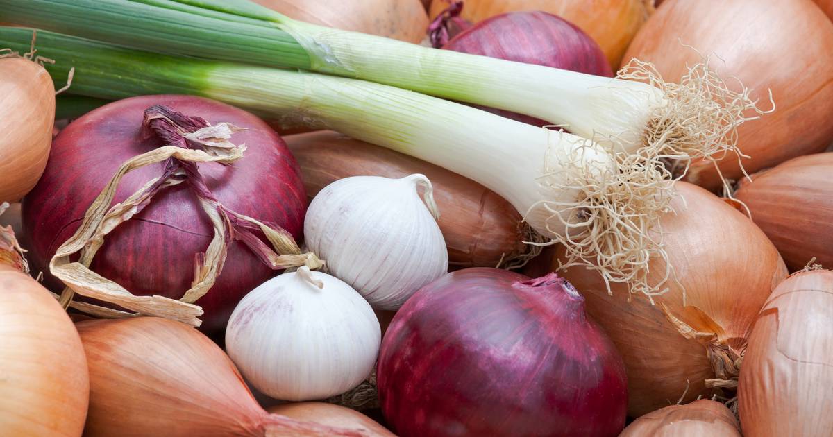 Wat is het smaakverschil tussen een witte en rode ui? En hoe zit het