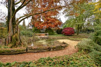 Prachtige kleuren in een opgeknapt Otjensparkje in Diessen