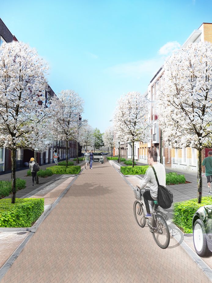 Artist impression van de heringerichte Menno van Coehoornstraat met de Magnolia's in bloei.