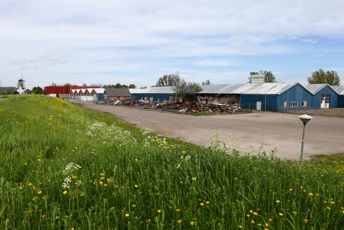 Op de Hoge Maasdijk staan nu nog diverse oude fabriekspanden.