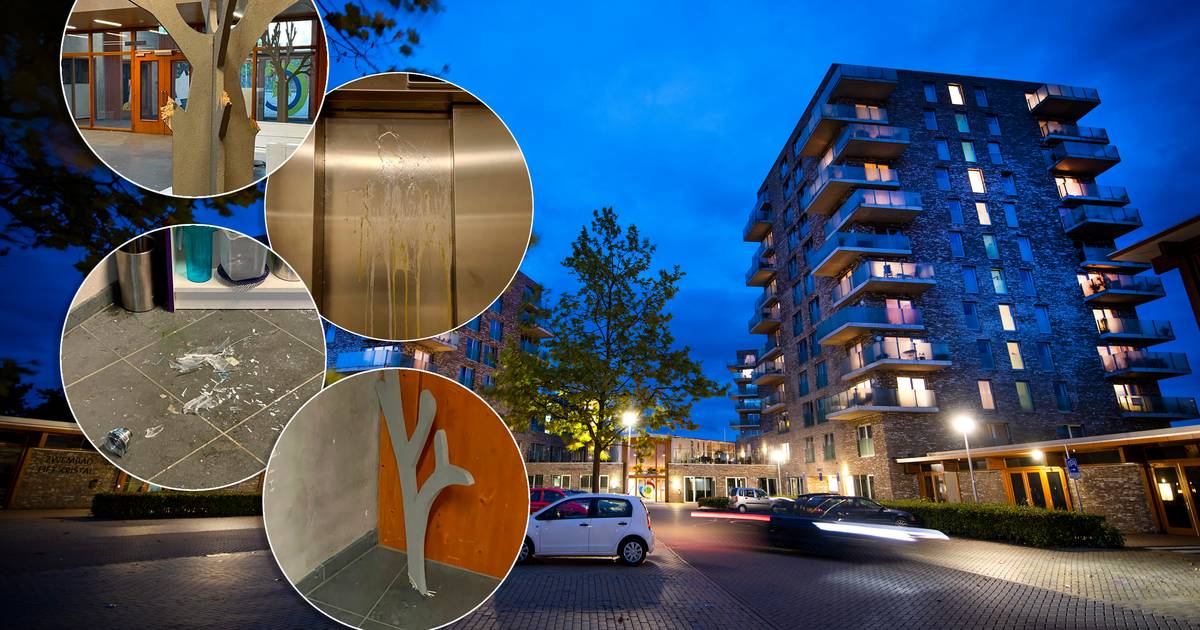 Drastische maatregelen bij hotspot van jeugdoverlast in Apeldoornse wijk: 'Zonde dat dit moet' - AD