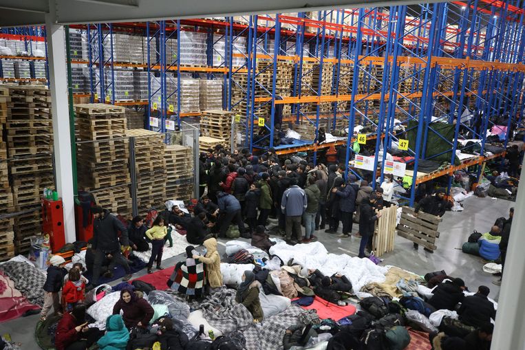 Duizenden migranten die asiel willen aanvragen in de EU zijn gestrand in Broezgi-Kuznica. Beeld Leonid Scheglov / EPA