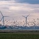Is Nederlandse stroom in 2030 bijna volledig groen? Het laatste stukje wordt lastig