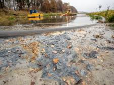 Milieuramp in de Berkel: Friesland Campina vervuilde, het waterschap betaalde 