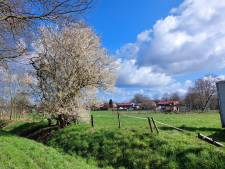 ‘Heumen-West’ slaat drie vliegen in één klap: nieuwe woningen, geluidscherm en exit landbouwverkeer
