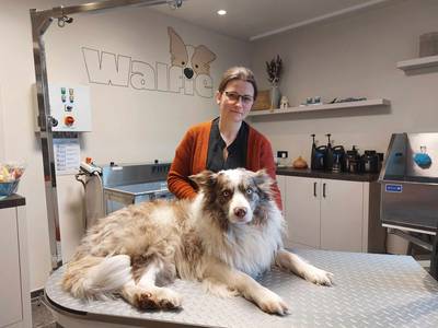 Kelly (38) start massagesalon... voor honden: “Kan gedragsproblemen en pijn verhelpen”