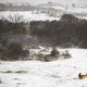 Weermodellen op één lijn: vorst, ijzel en sneeuw op komst