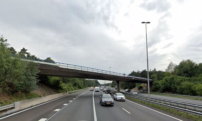 Het bewuste viaduct over de A50 bij Loenen.