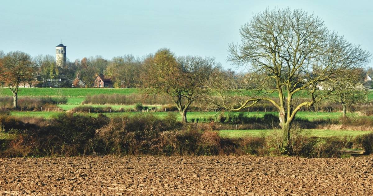 Wielrenner ernstig gewond in Landhorst