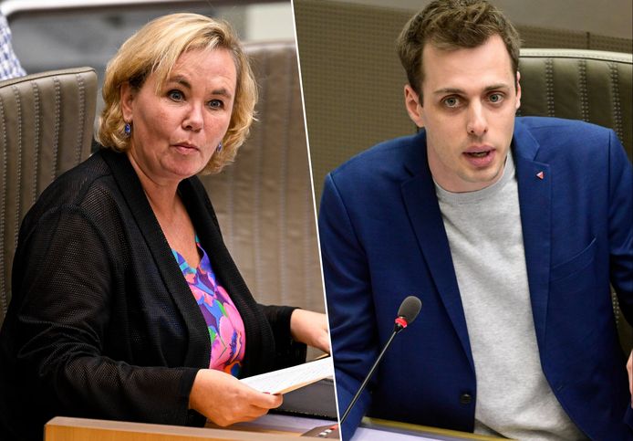 Vlaams parlementsvoorzitter Liesbeth Homans (N-VA) en fractieleider Jos D'Haese (PVDA).